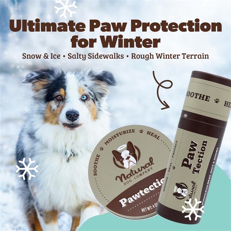 PawTection crea una barrera para inviernos con nieve y sal.