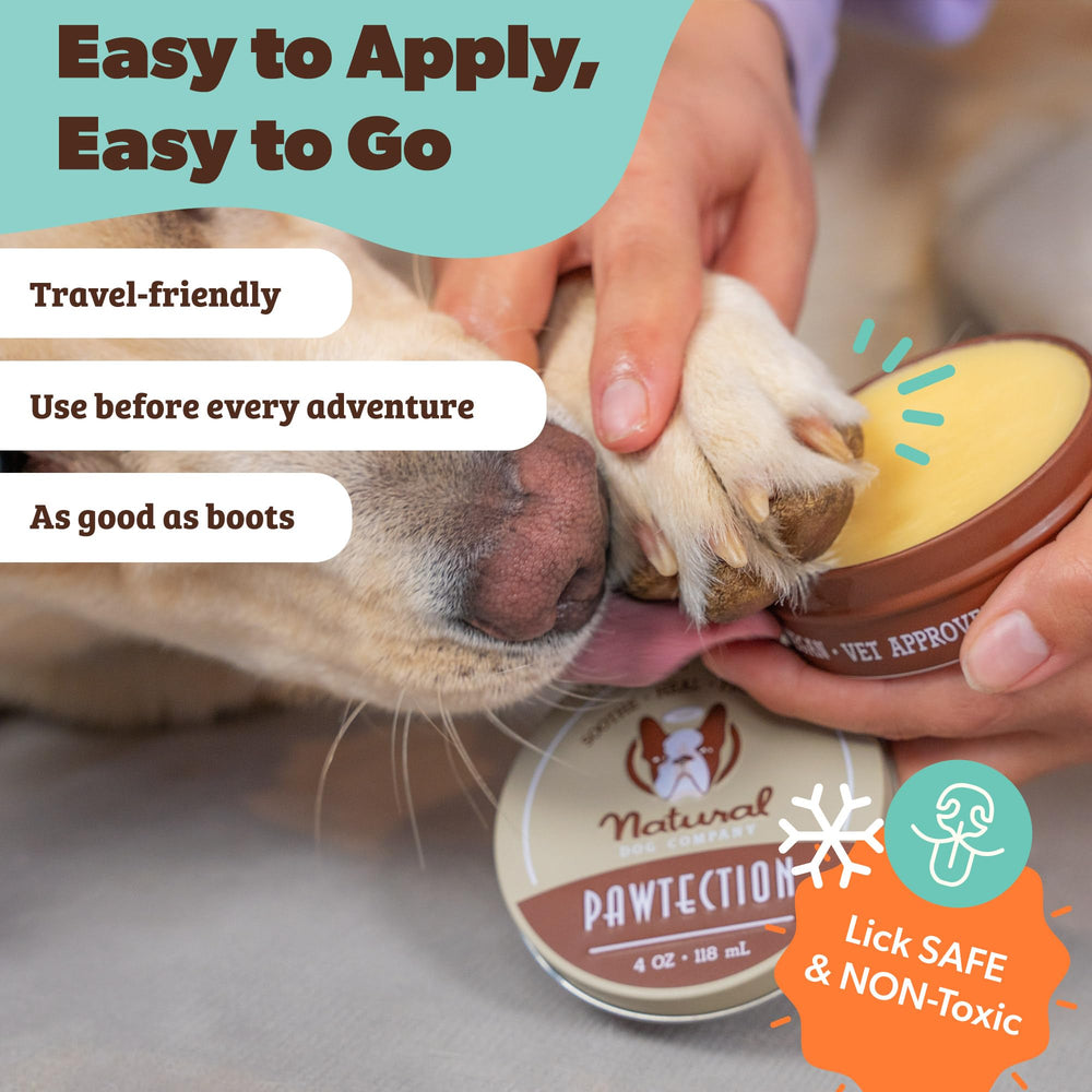 Rutina de cuidado invernal con PawTection y acondicionador posterior para patitas.