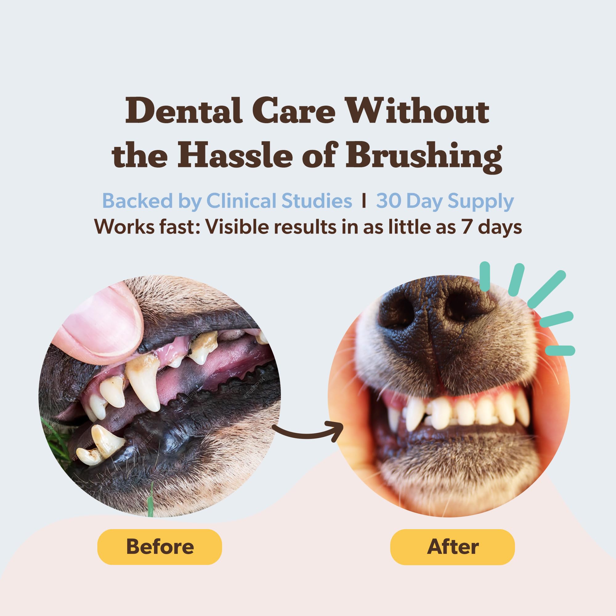 Polvo dental Natural Dog Company, aliento fresco para perros