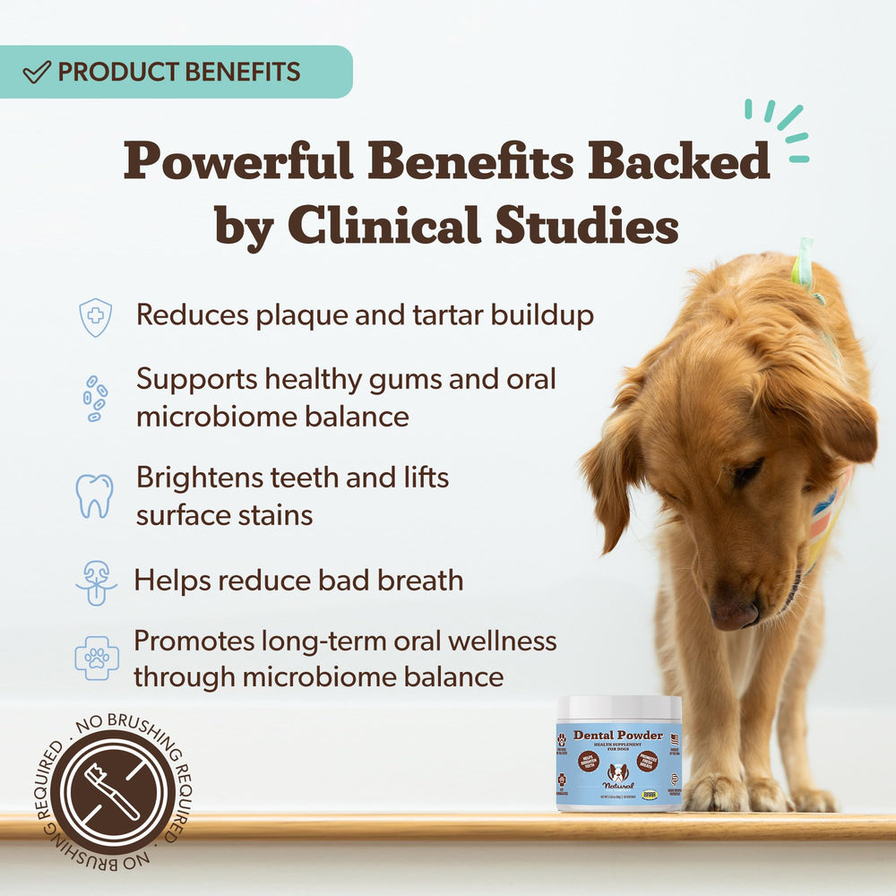 Polvo dental Natural Dog Company con postbiótico para microbioma oral