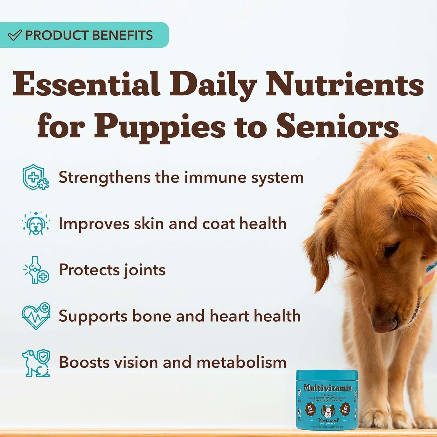Natural Dog Company dosis-diaria-por-peso, guía simple para perros pequeños y grandes.