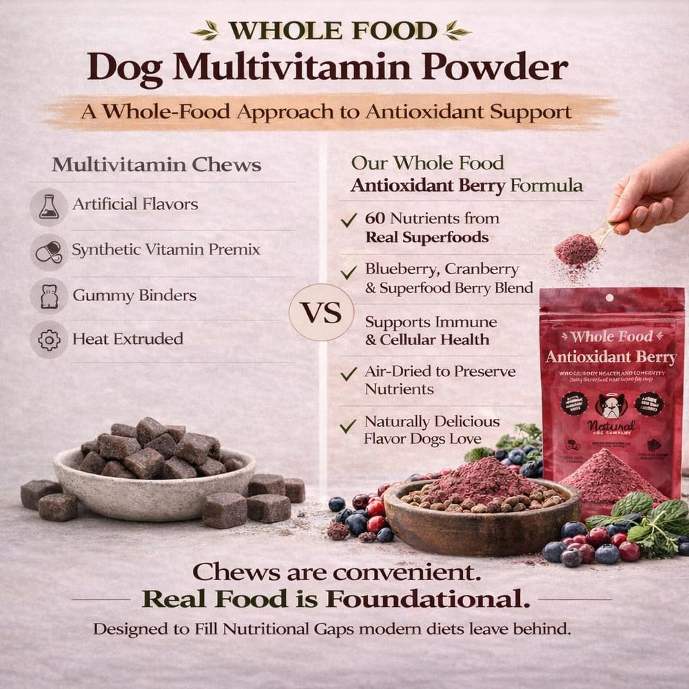 Natural Dog Company granulos antioxidantes con arándanos y moras para defensas naturales.