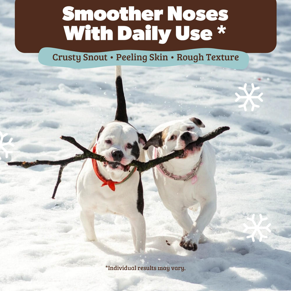 Snout Soother de Natural Dog Company: hidratación profunda para la nariz