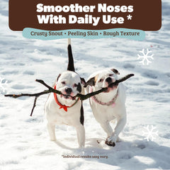 Snout Soother de Natural Dog Company: hidratación profunda para la nariz