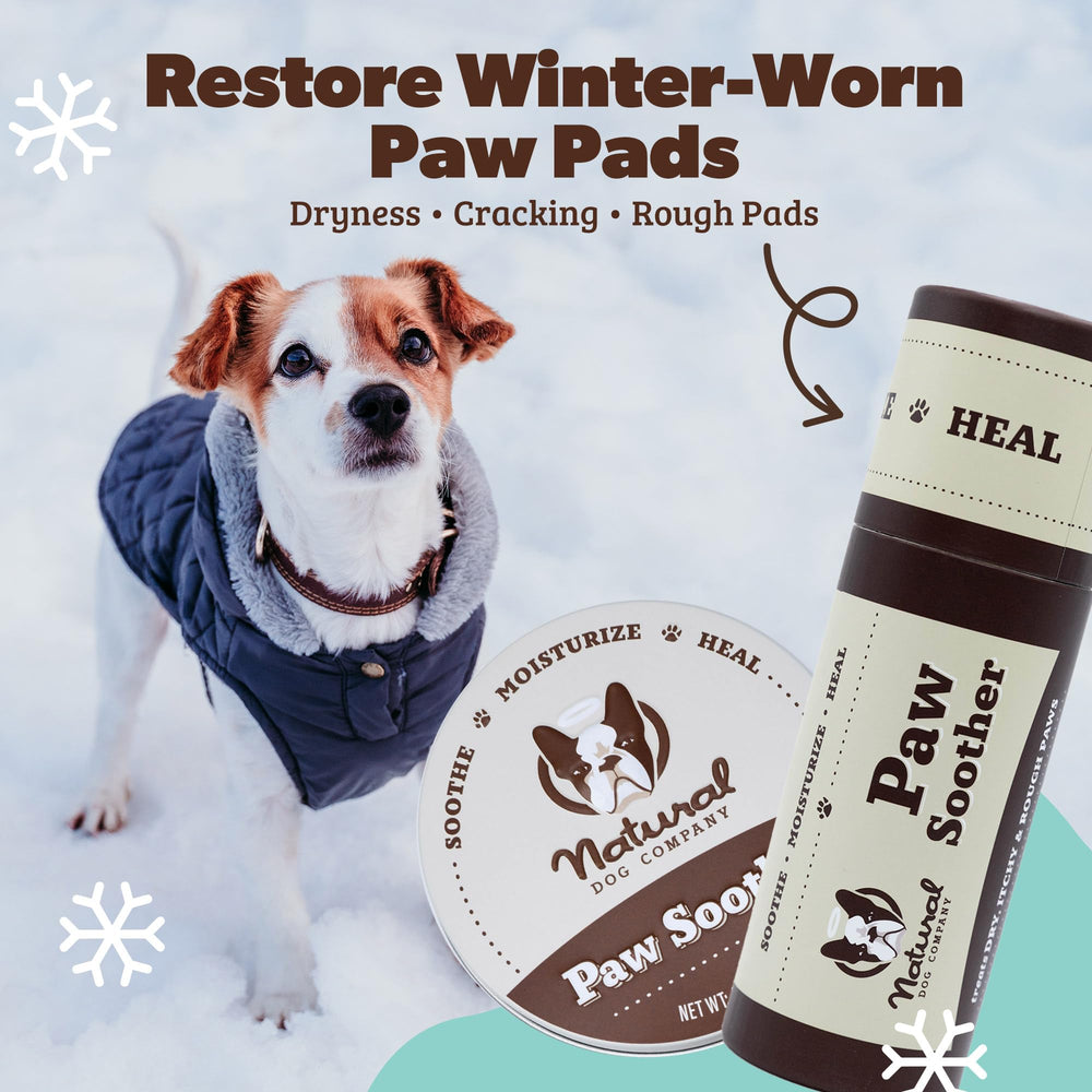 Paw Soother en invierno: cuidado de las patas al aire libre.