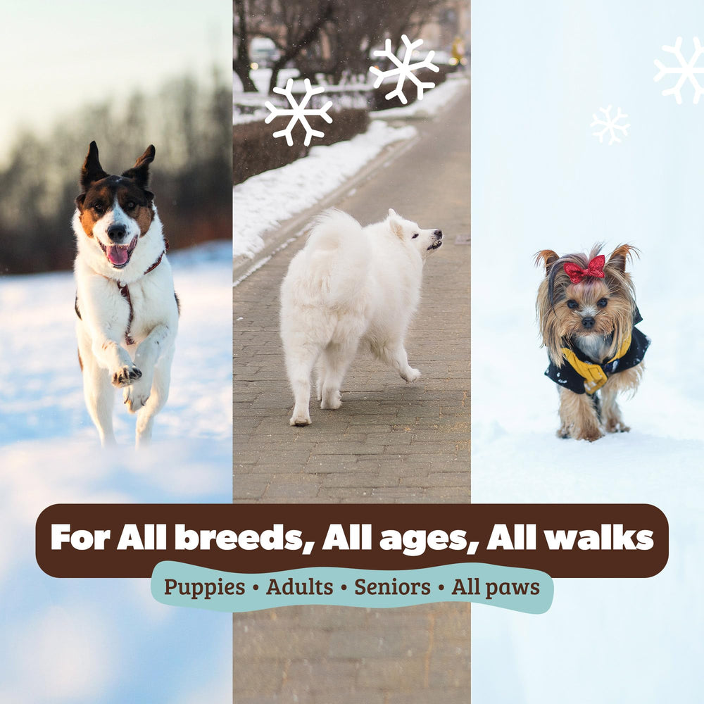 PawTection para hielo y sal, ideal en superficies heladas