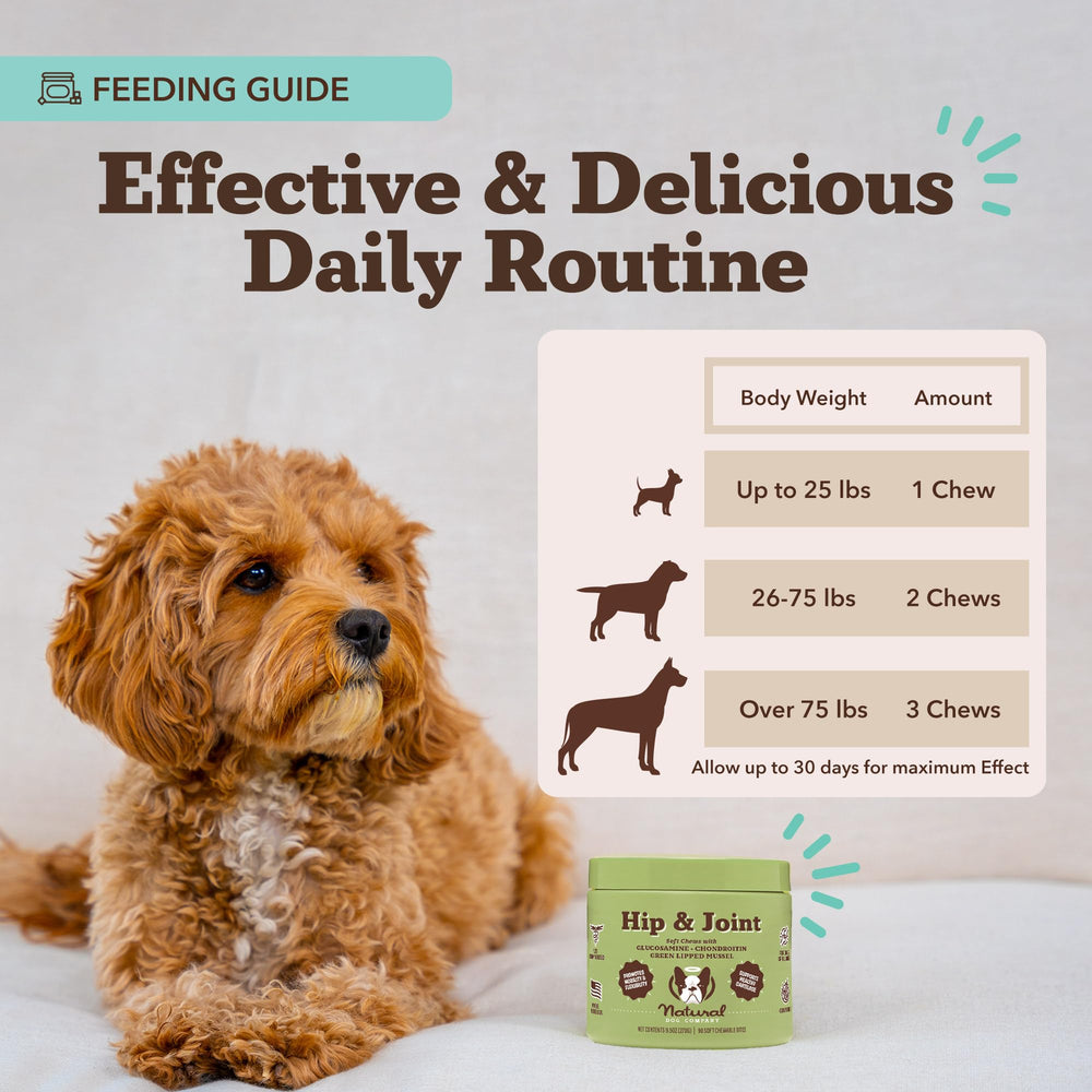 Natural Dog Company sabor pollo: masticables sabrosos para perros exigentes.