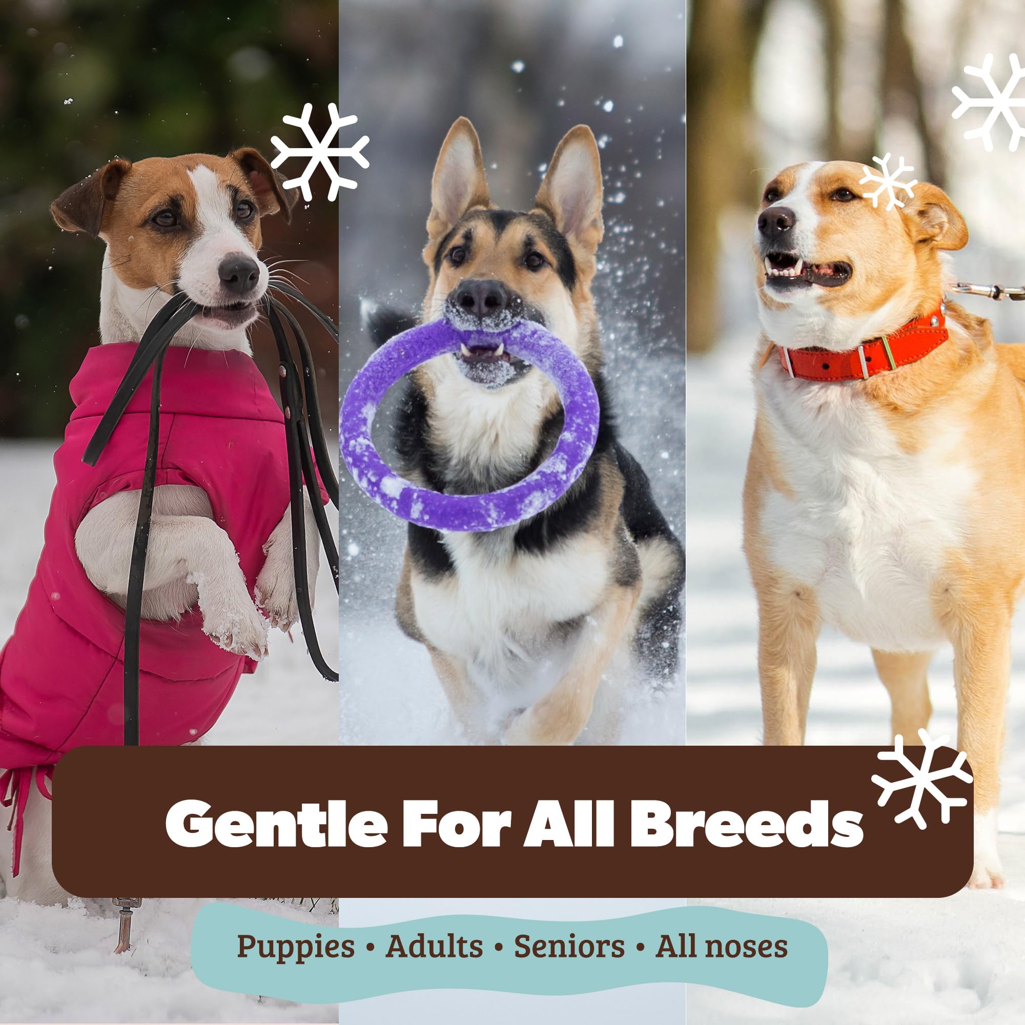 Natural Dog Company seguro para lamido y todas las razas