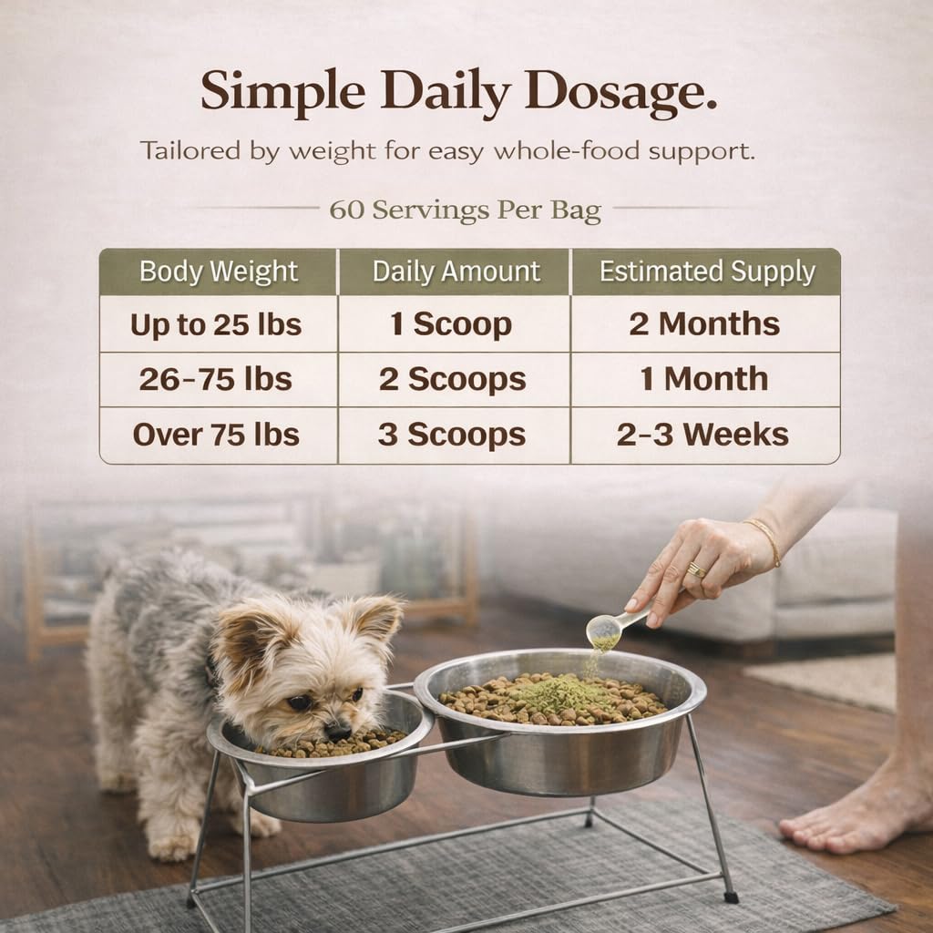 Natural Dog Company Super Greens: envase-reutilizable, opción sostenible para dueños responsables.