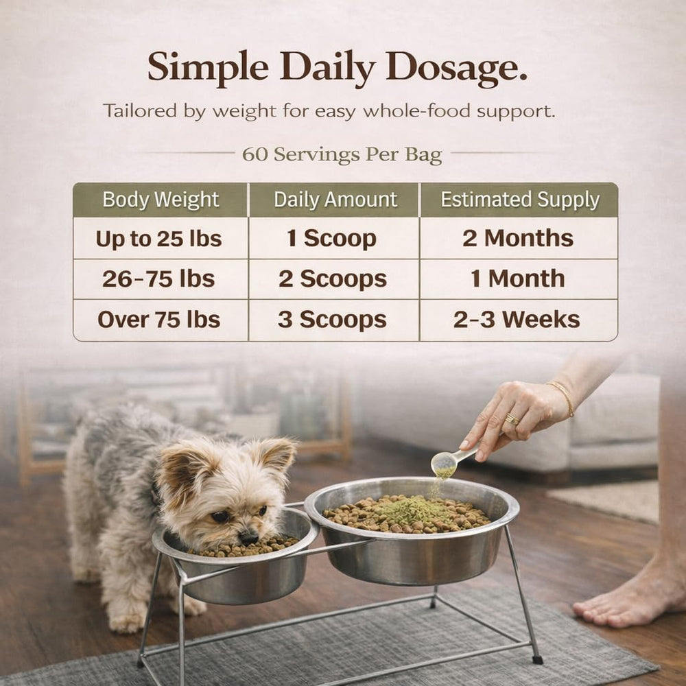 Natural Dog Company Super Greens: envase-reutilizable, opción sostenible para dueños responsables.