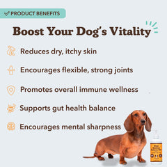 Natural Dog Company – topper de comida con sabor a pescado para perros exigentes