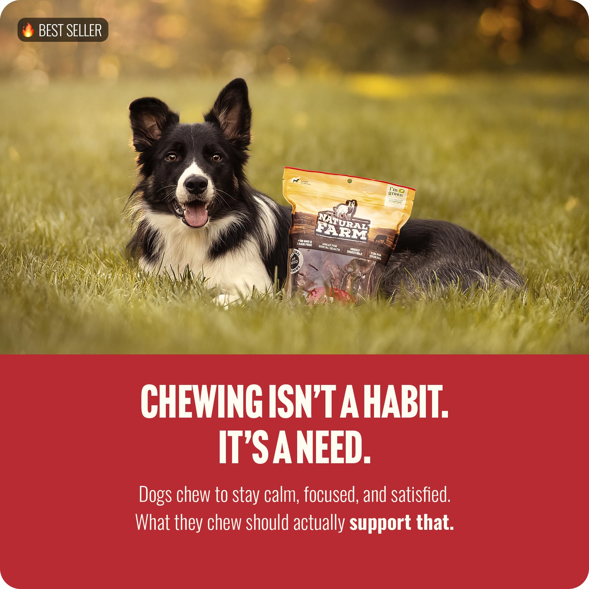 Natural Farm Bully Stick ayuda a reducir la ansiedad al masticar diariamente