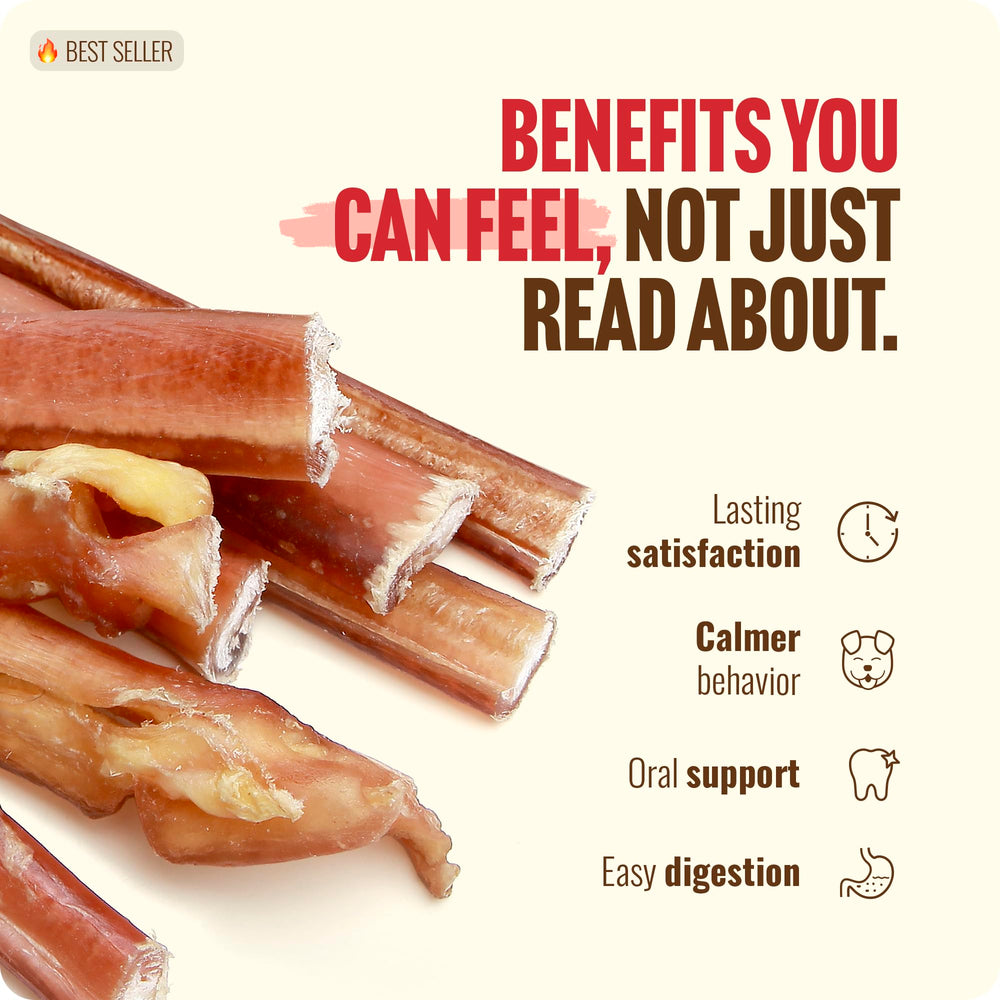 Natural Farm Bully Stick sin preservantes ni granos para perros