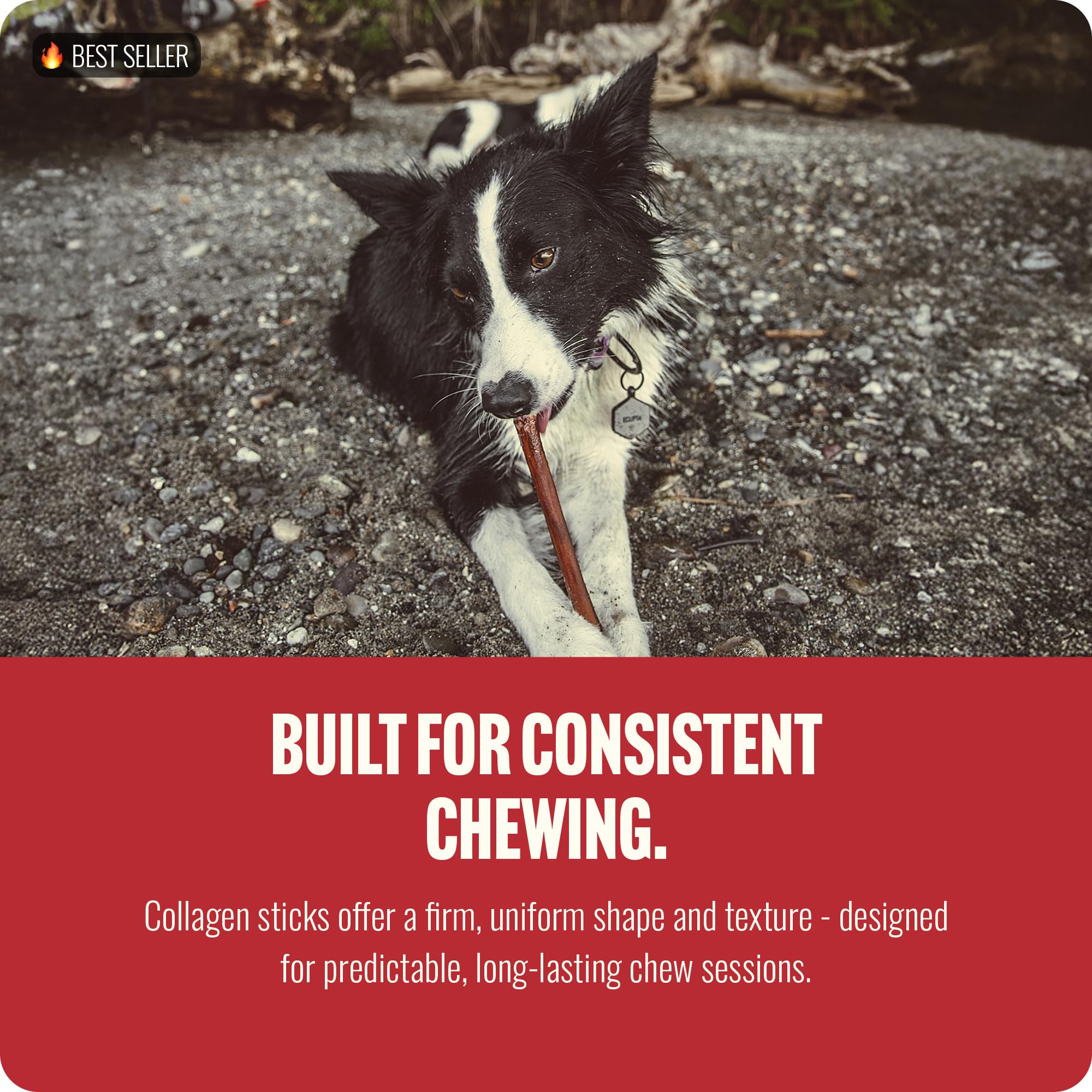 Natural Farm Caja 10 unidades Bully Coated Collagen Stick, snack conveniente.