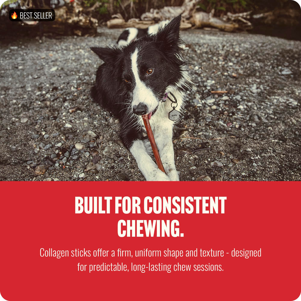 Natural Farm Caja 10 unidades Bully Coated Collagen Stick, snack conveniente.