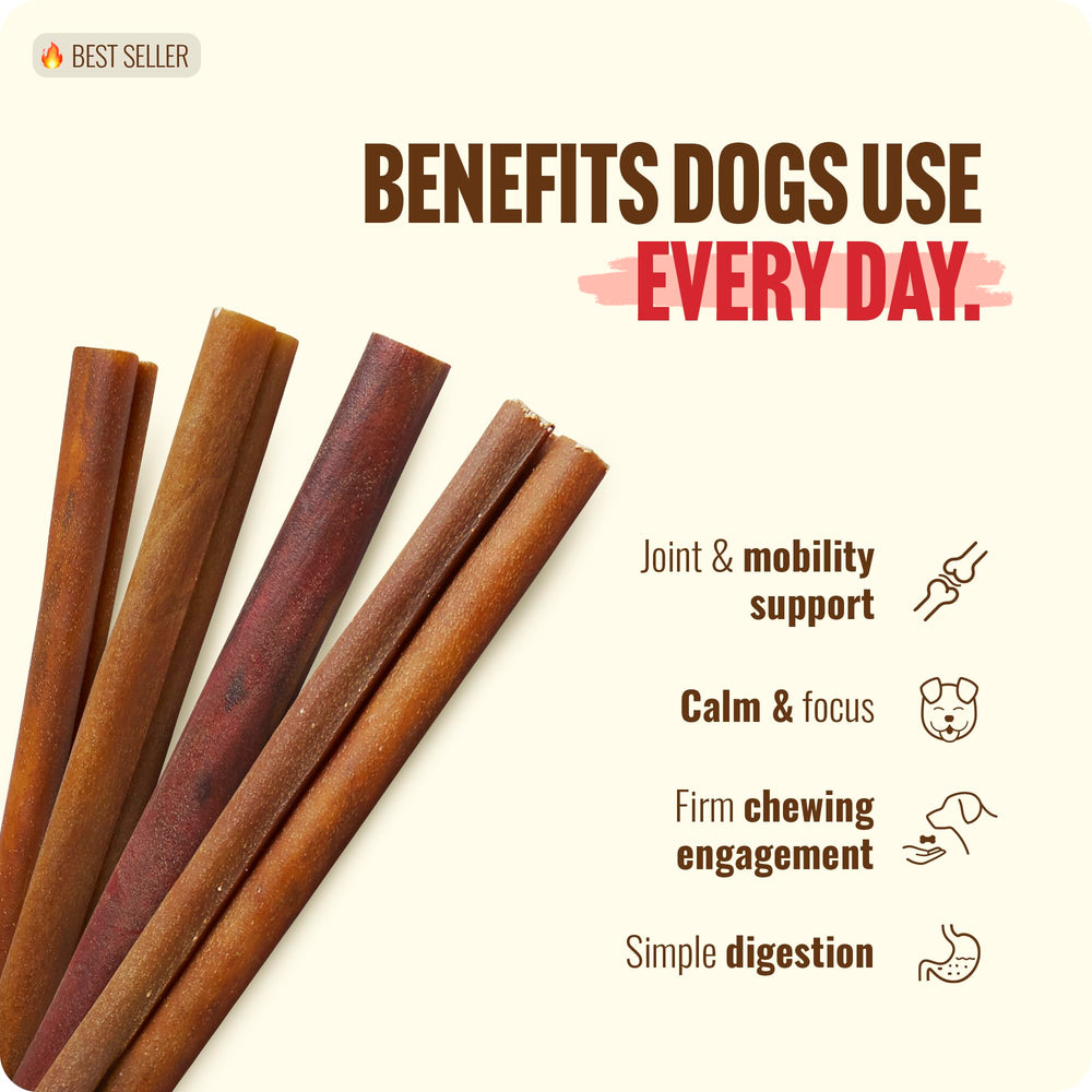 Natural Farm Collagen Sticks pour peau et pelage sains