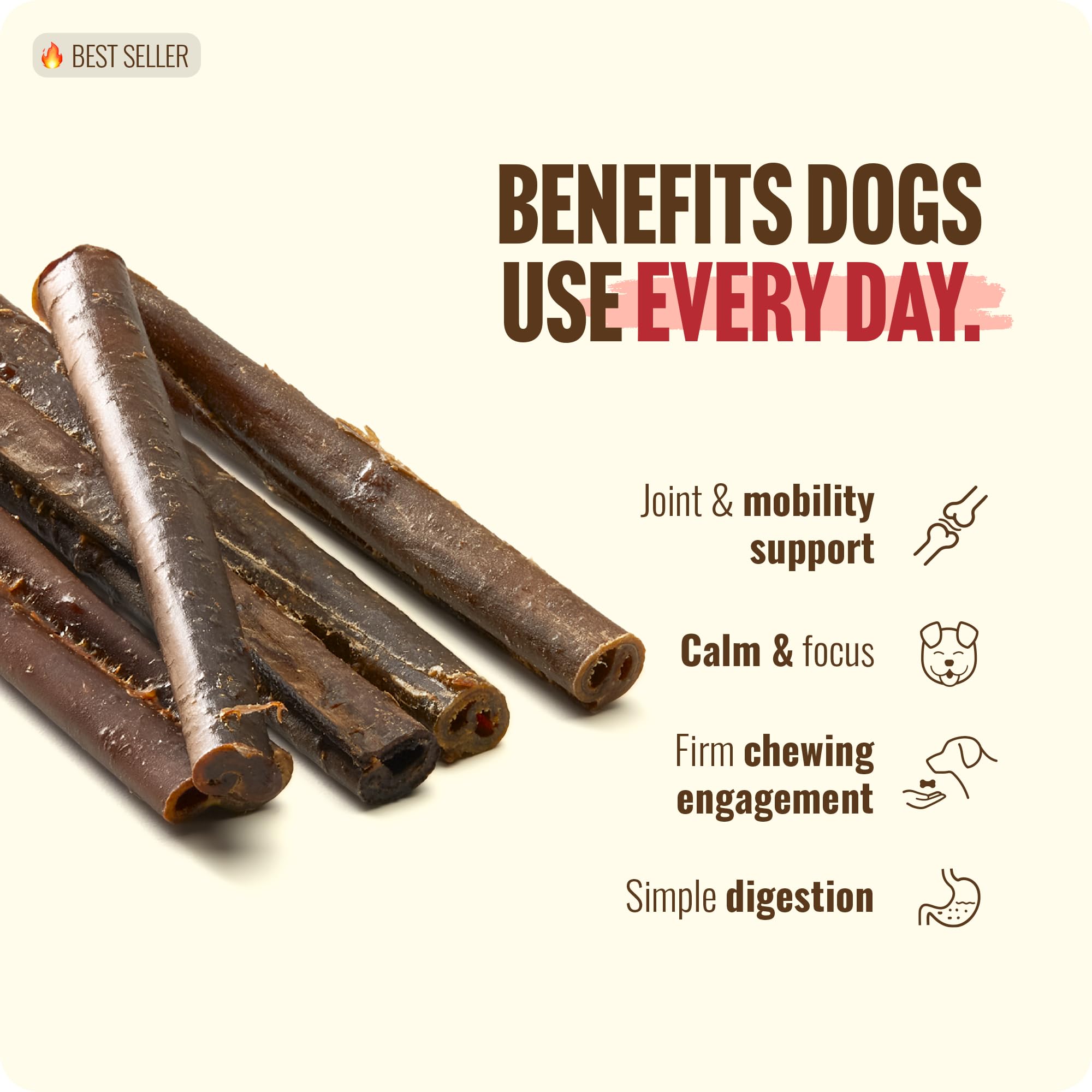 Natural Farm apto para perros pequeños y medianos.