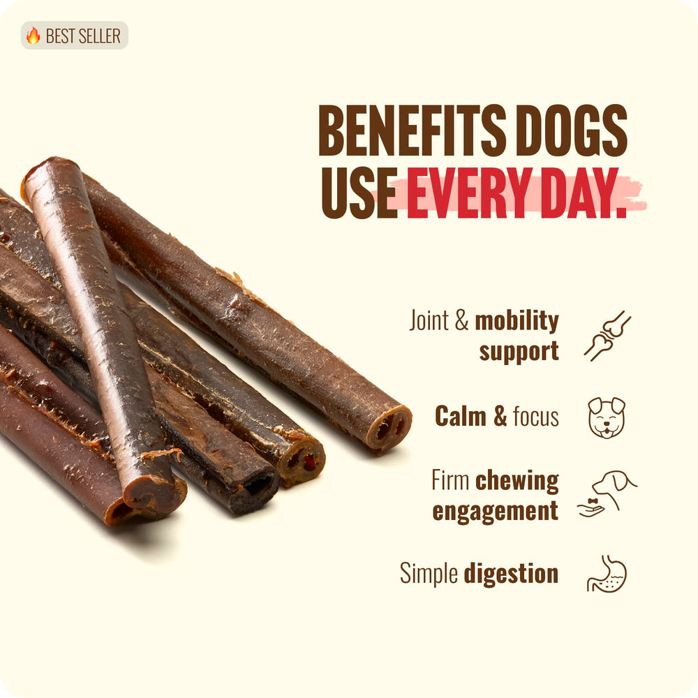 Natural Farm apto para perros pequeños y medianos.