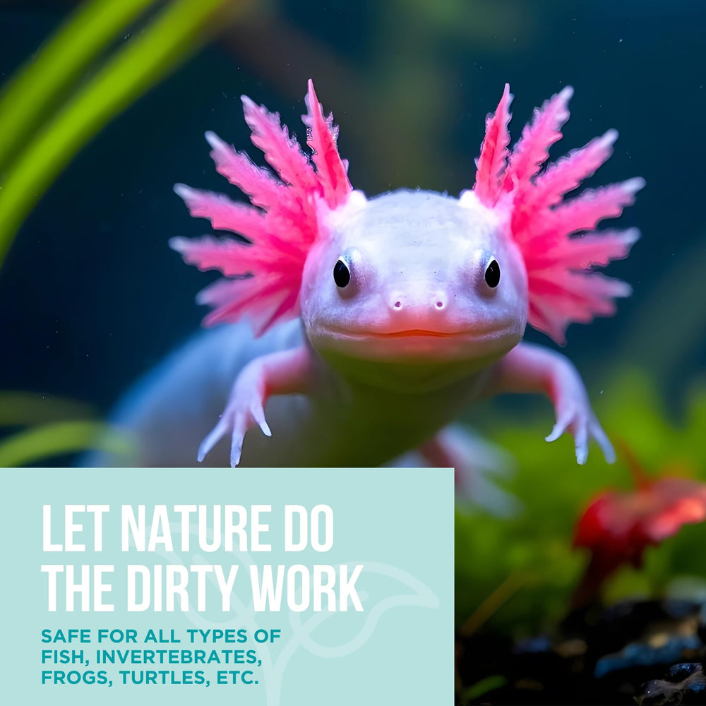 Natural Rapport añade bacterias naturales para reducir desechos en el agua.