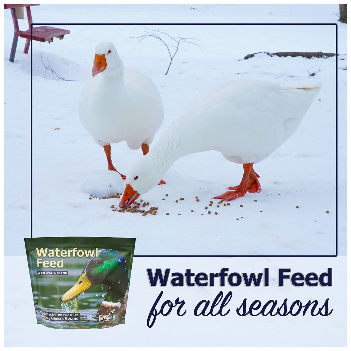 Natural Waterscapes Alimento para aves acuáticas: harina de pescado como proteína de calidad