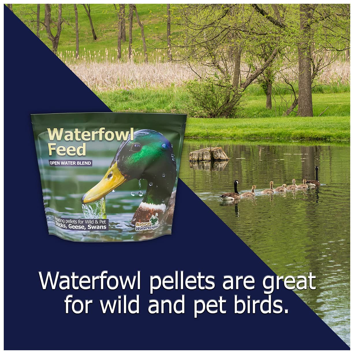 Natural Waterscapes Alimento para aves acuáticas: mezcla premium con proteína y fibra para digestión