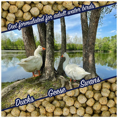 Natural Waterscapes alimento para cisnes con pellets flotantes de alta calidad