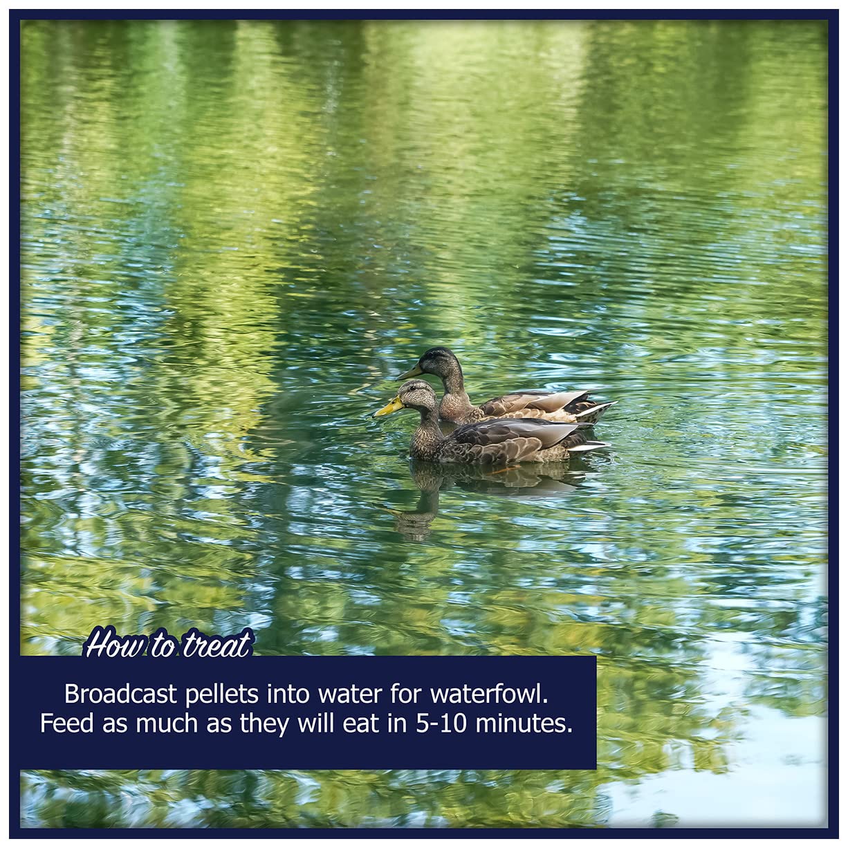 Natural Waterscapes Alimento para aves acuáticas: reduce residuos en el agua gracias a la dieta