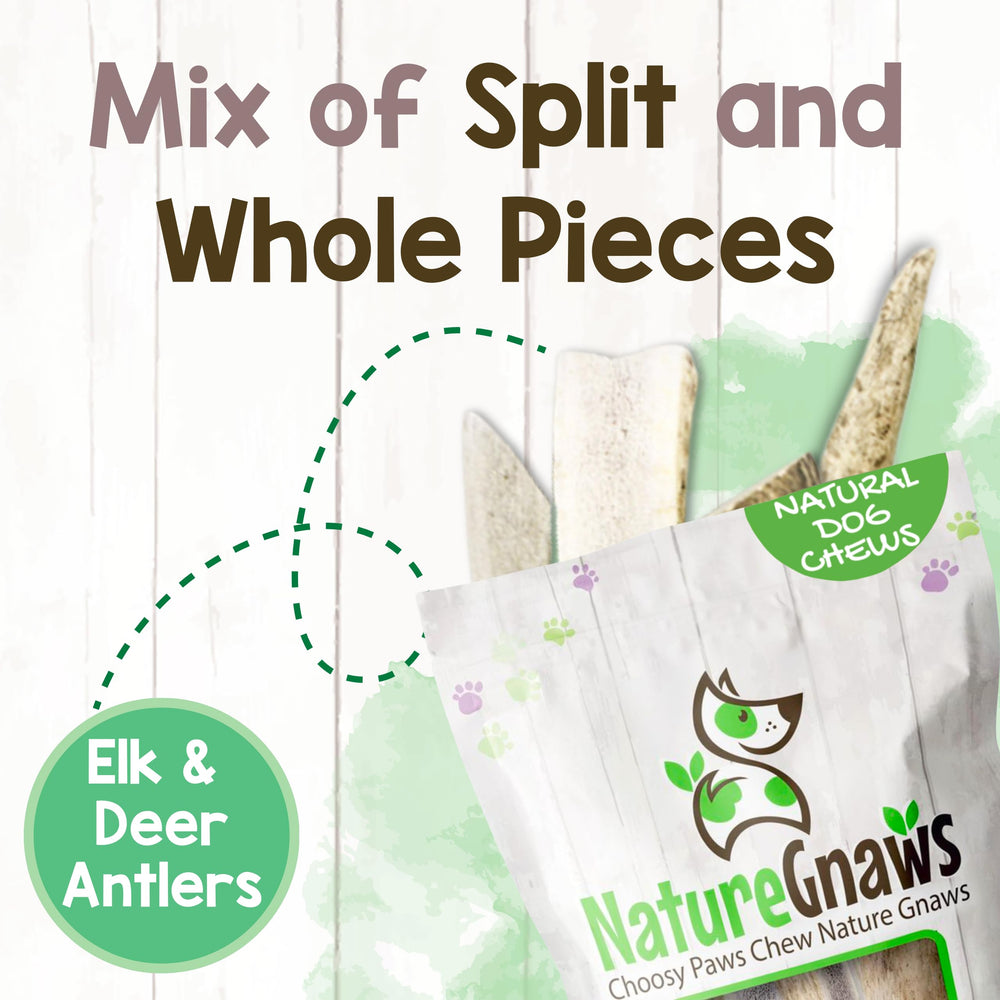 Nature Gnaws: alternativa sin cuero crudo para perros activos