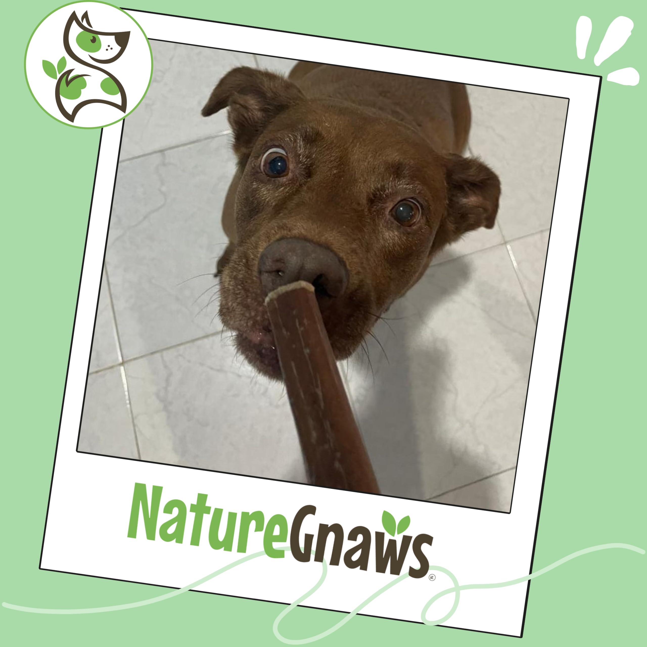 Nature Gnaws Bully Stick natural y libre de gluten, opción práctica para dientes.