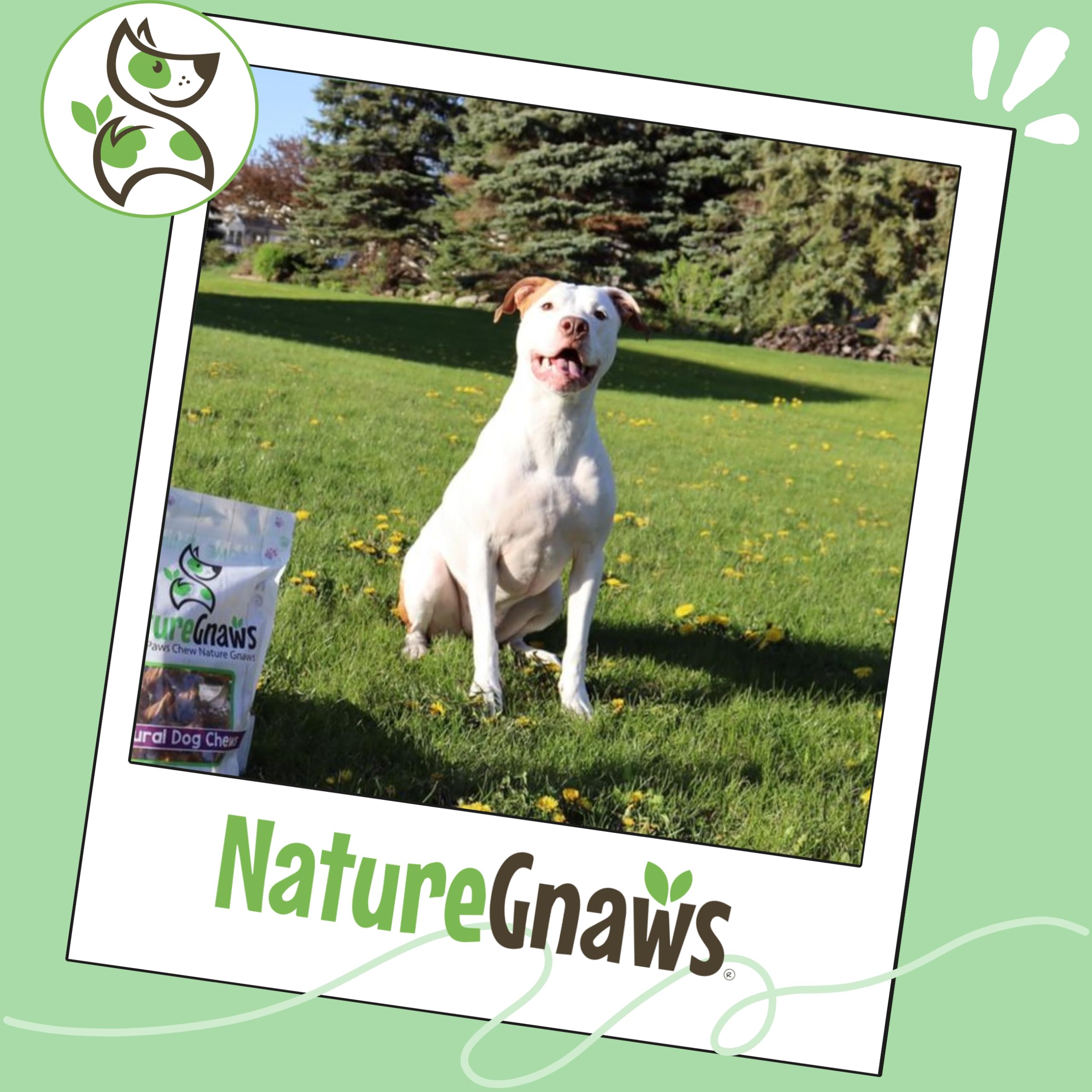 Nature Gnaws Bully Barra sin gluten para dietas sensibles