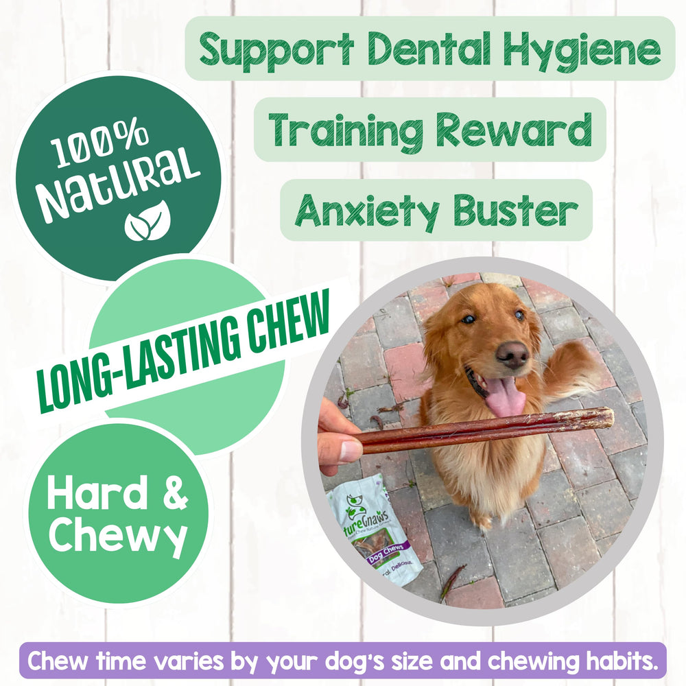 Bully stick sin gluten para perros, alternativa natural