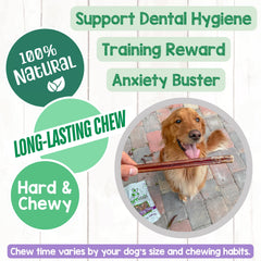 Bully stick sin gluten para perros, alternativa natural