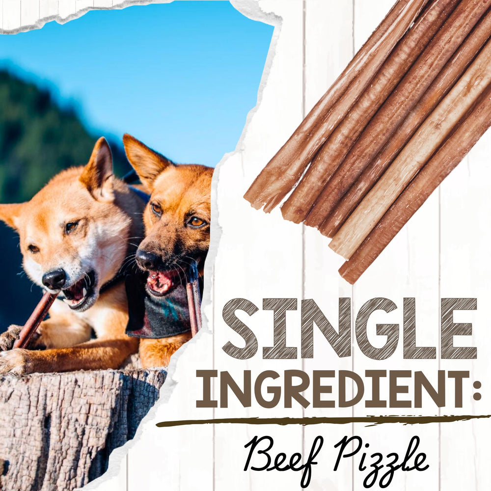 Bully stick sin olor, opción natural para perros sensibles al olor