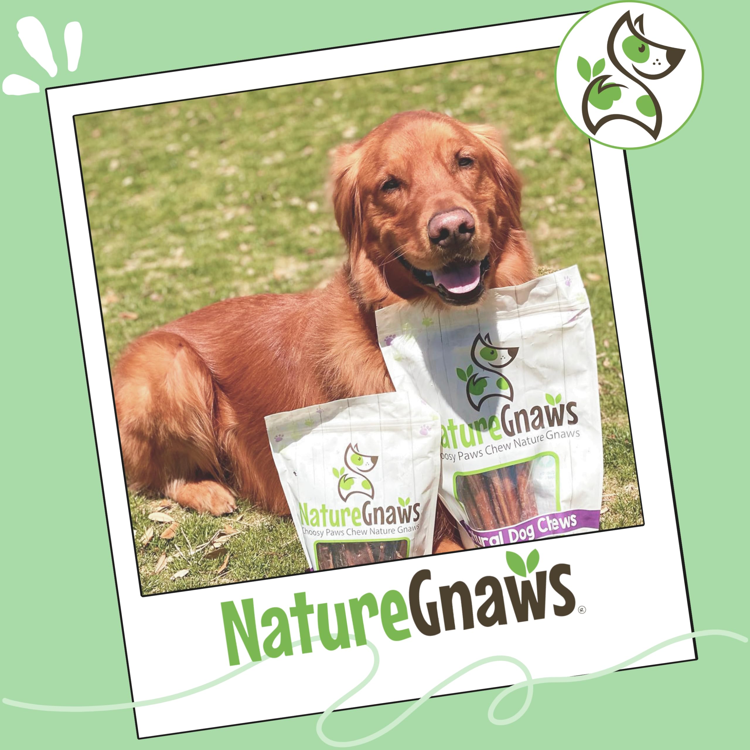 Nature Gnaws Bully Stick ideal como recompensa lenta en juegos y entrenamiento.