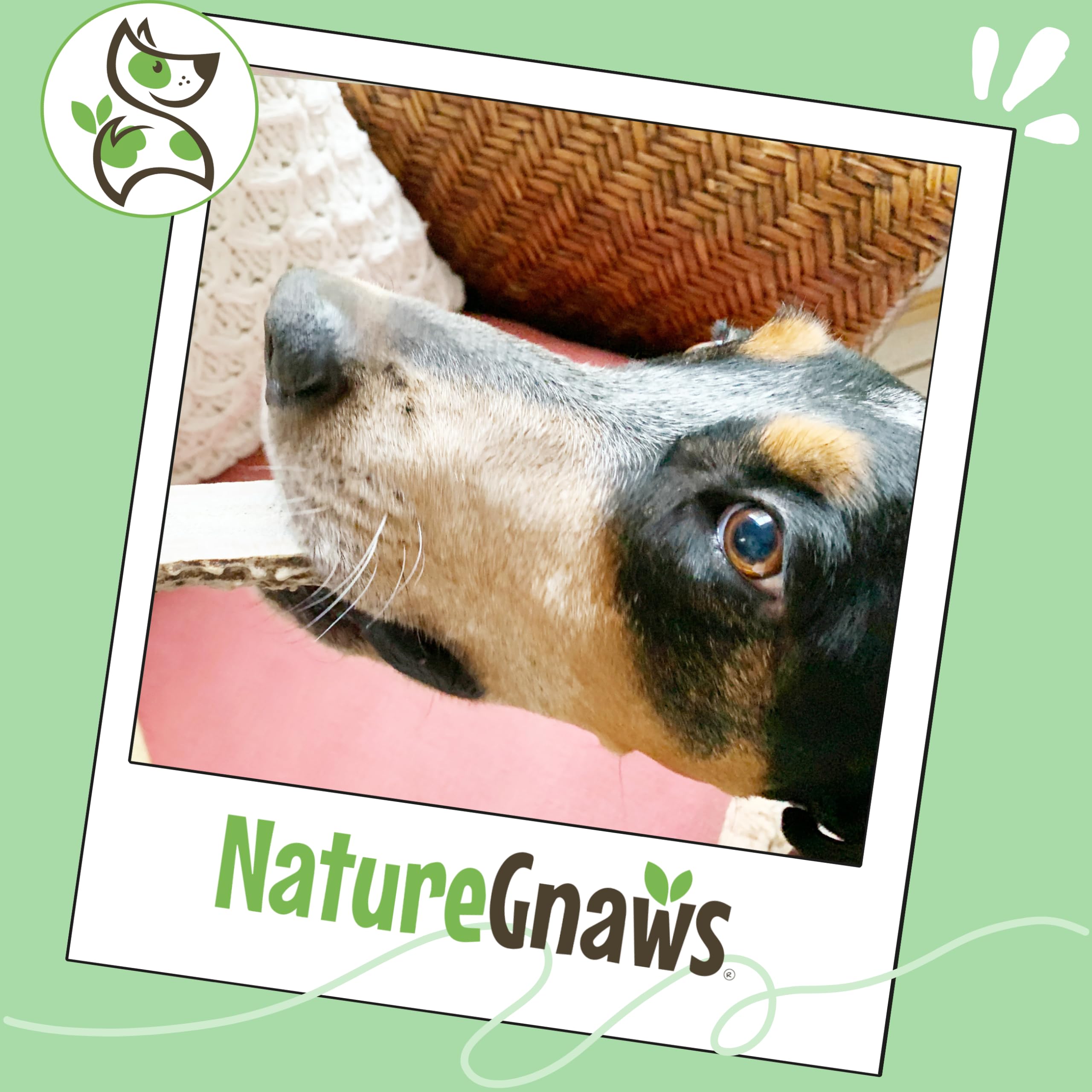 Nature Gnaws: masticación de larga duración para perros grandes