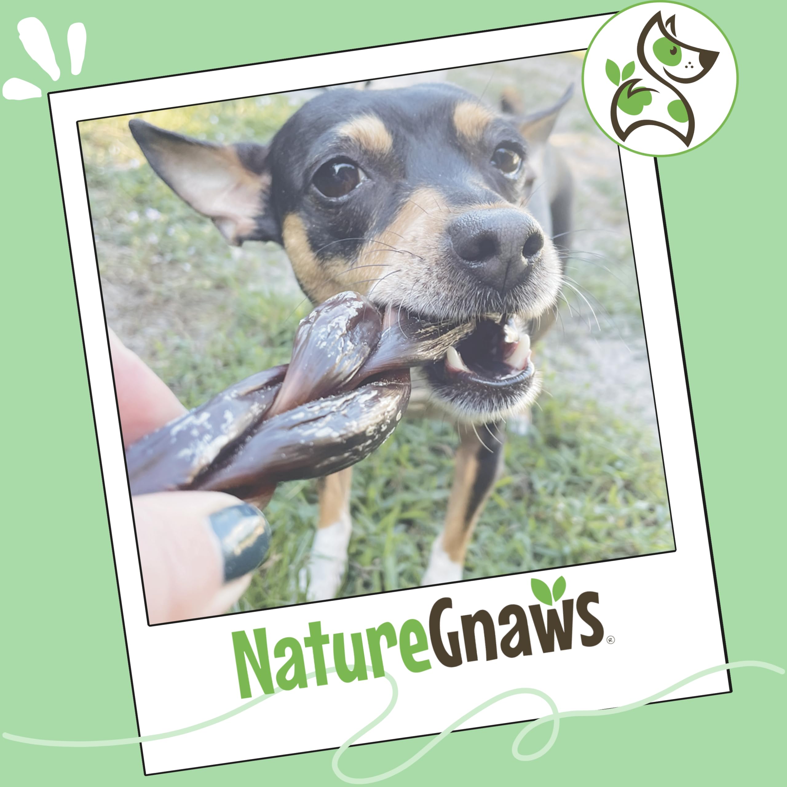 Nature Gnaws empaque natural facilita almacenamiento y manejo