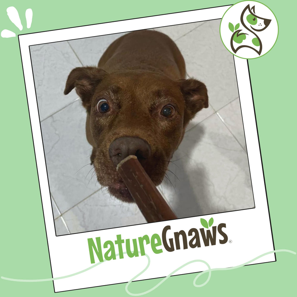 Nature Gnaws opción familiar 100% natural, ingredientes de origen responsable.
