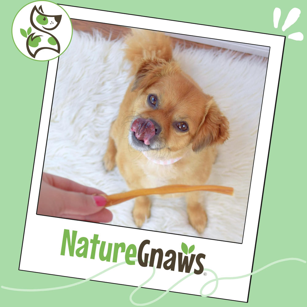 Nature Gnaws grain-free gluten-free sticks for sensitive diets