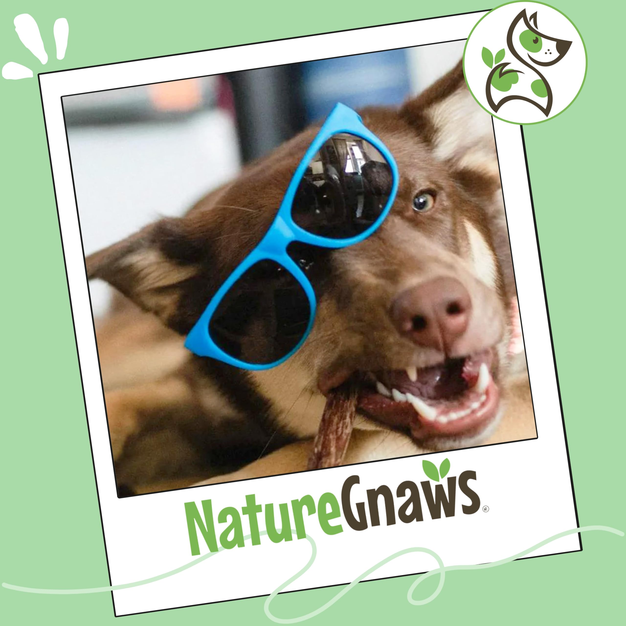 Nature Gnaws palitos de gola de res sin granos y gluten.