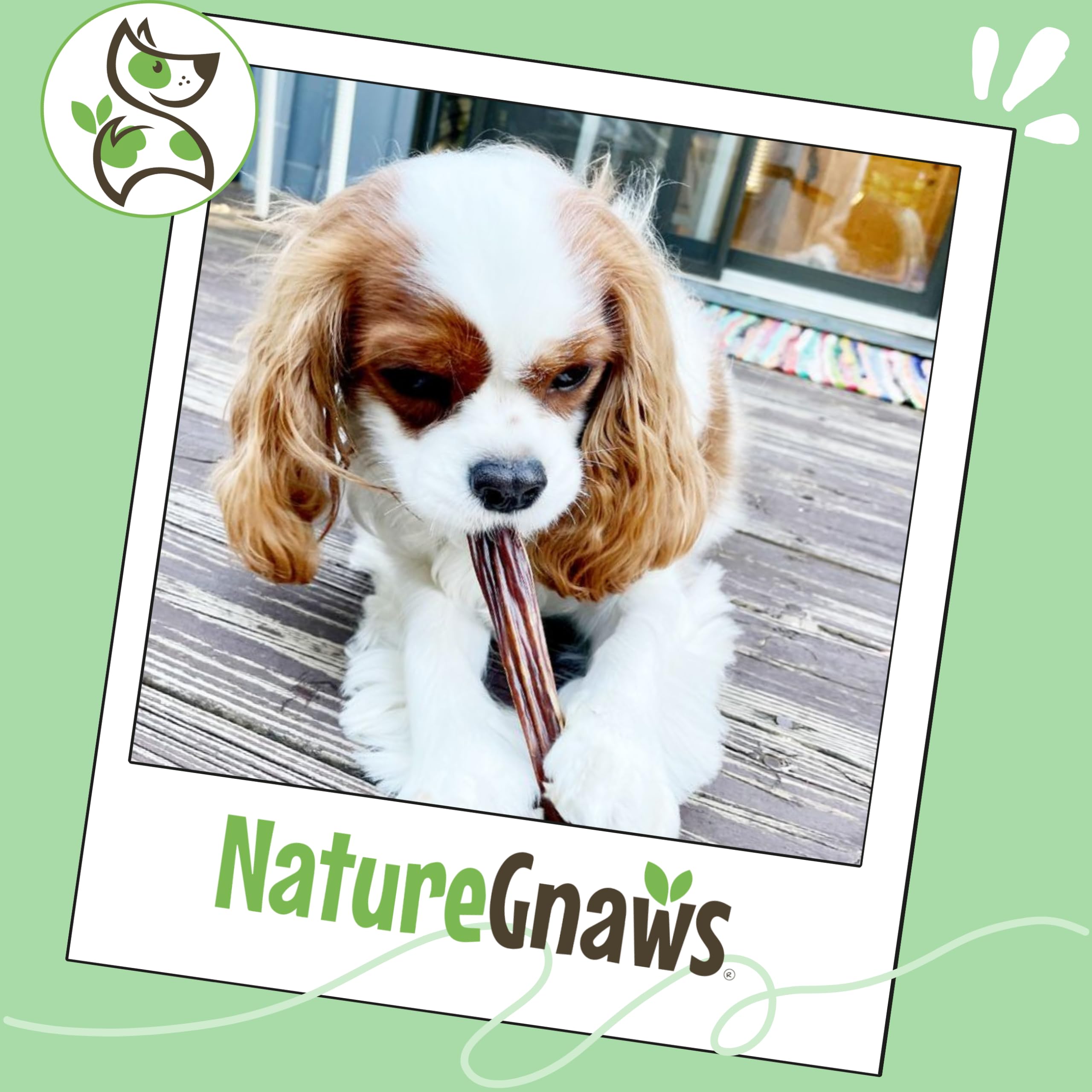 Nature Gnaws palitos de gola de res sin olor, ideales para perros sensibles.