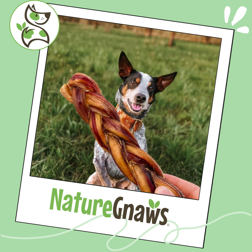 Nature Gnaws masticables naturales de res para la dentadura del perro.