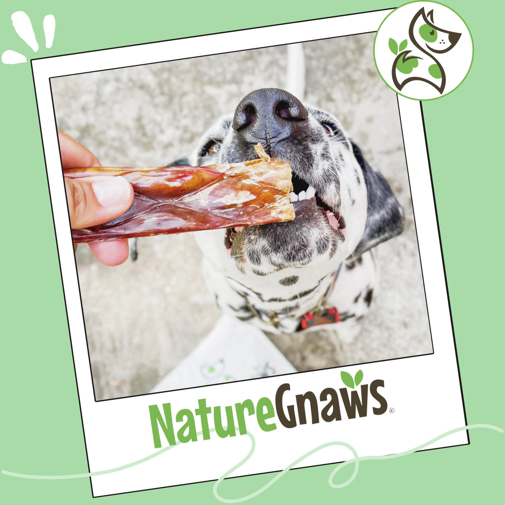 Nature Gnaws masticables sin gluten para perros grandes, opción natural y segura.
