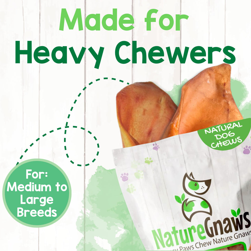 Orejas de cerdo Nature Gnaws con aroma natural para perros curiosos.