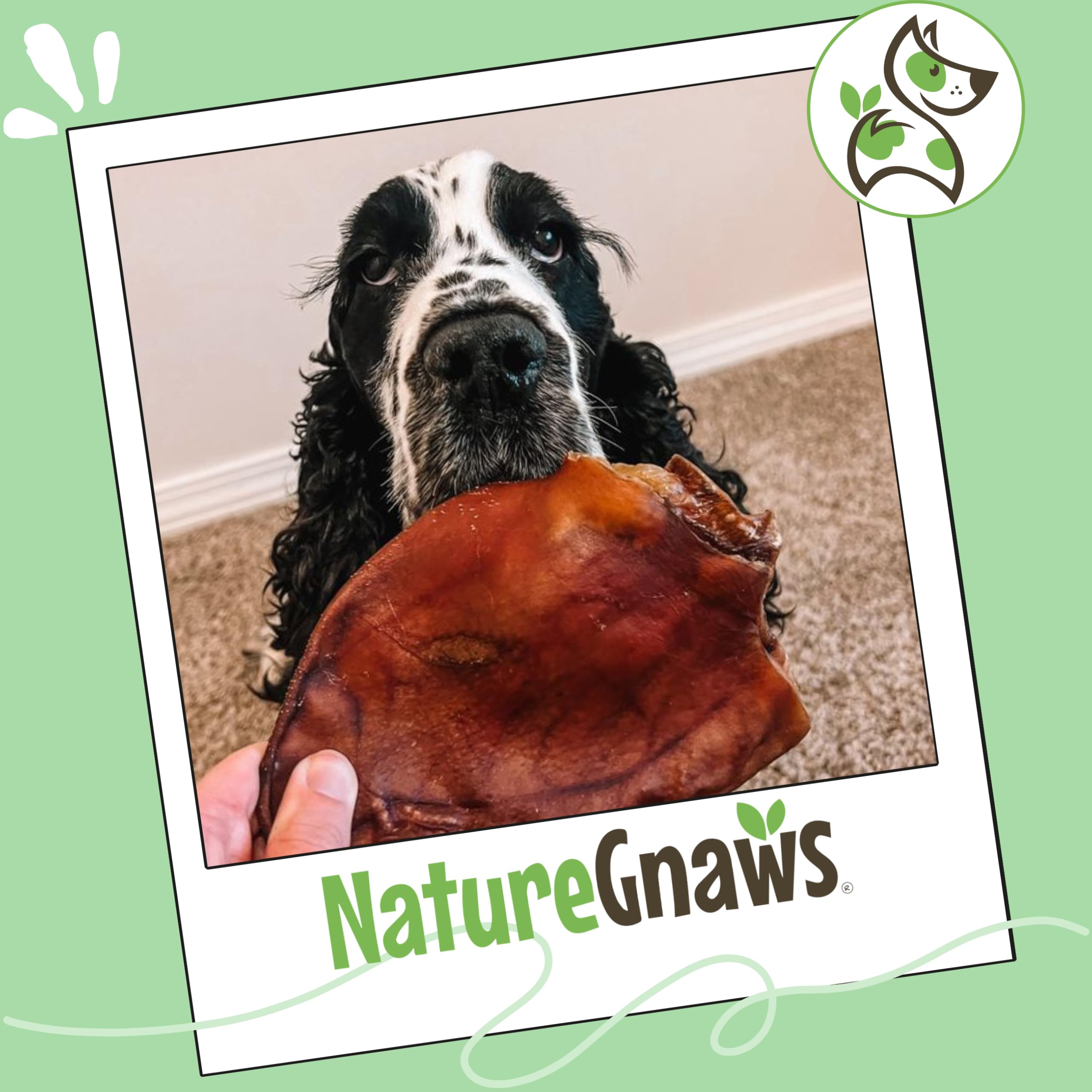 Nature Gnaws orejas de cerdo para perros, ideal para dentición