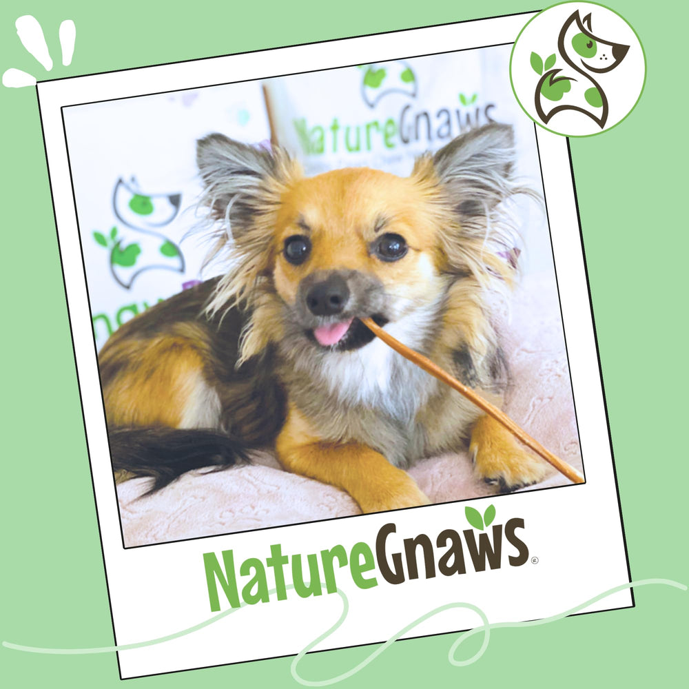 Nature Gnaws packaging and label indicating quality and sourcing