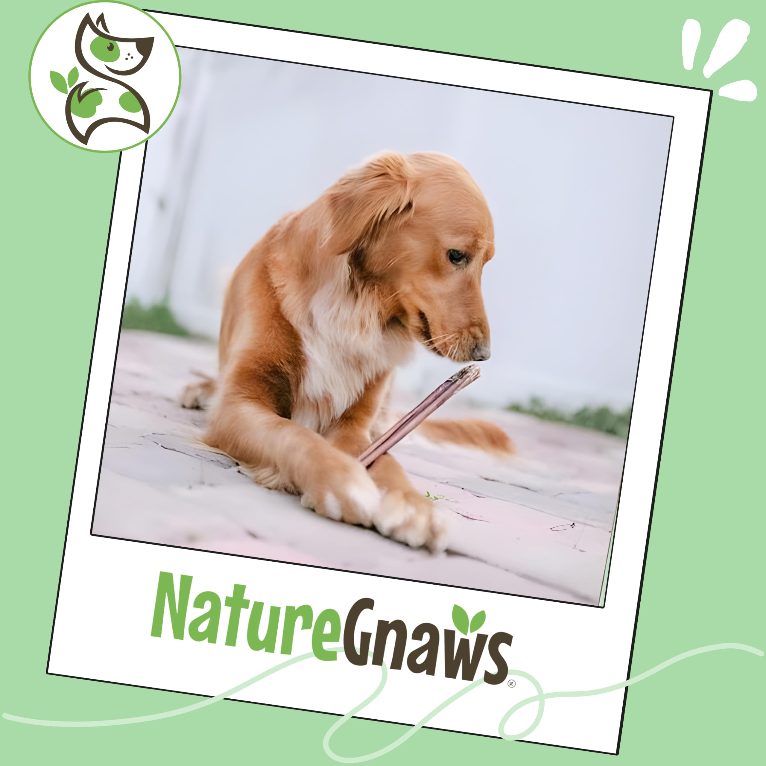Nature Gnaws Bully, alternativa natural frente a cueros crudos.