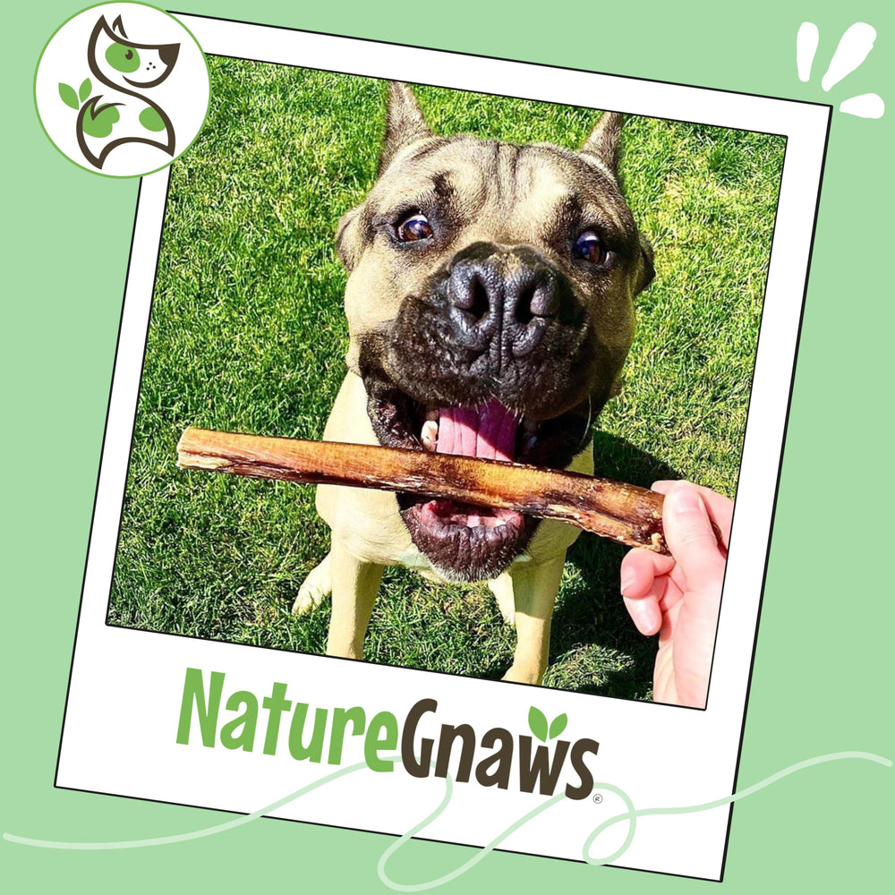 Sin gluten y sin granos, palitos bully Nature Gnaws.