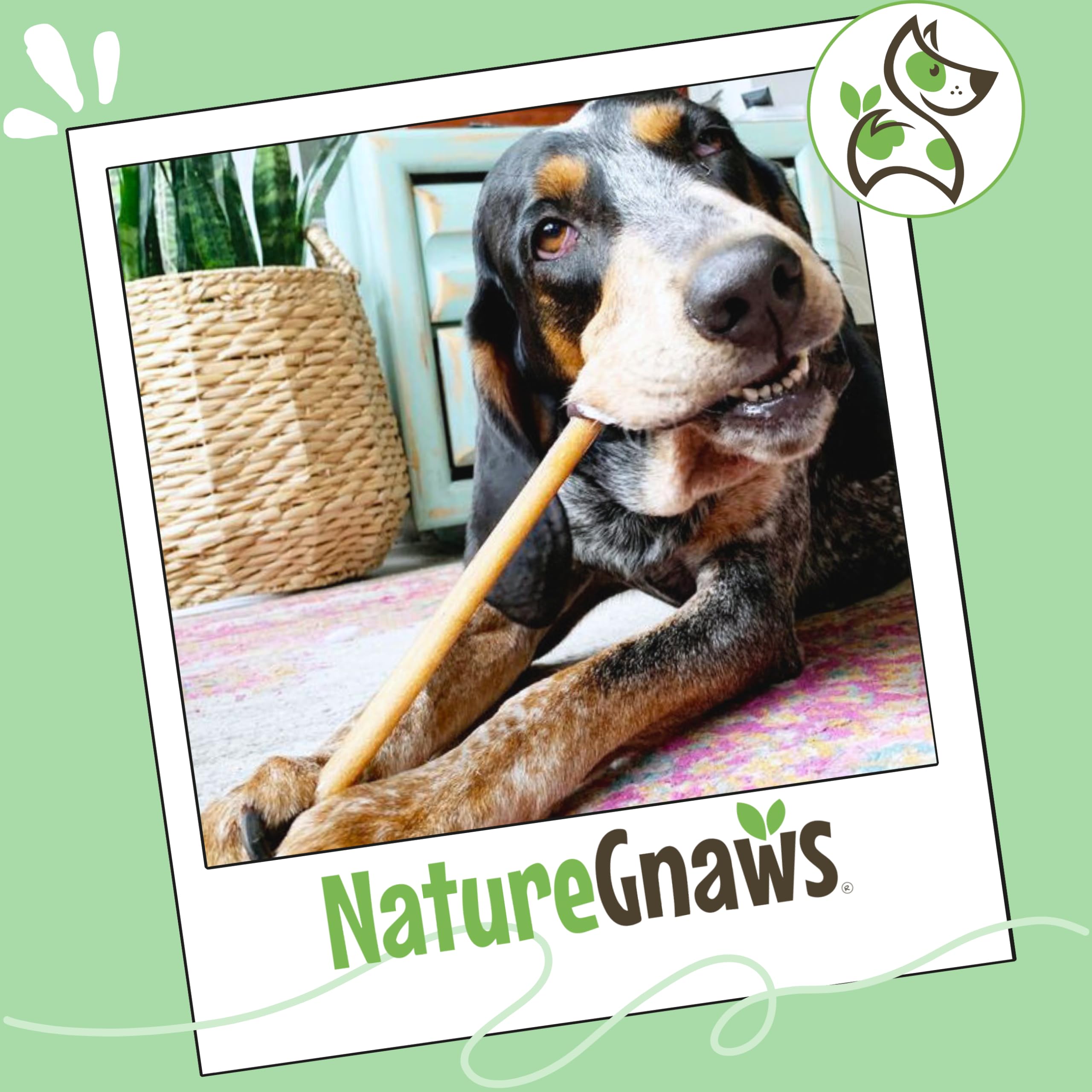 Nature Gnaws Palitos Bully para perros grandes, entretenimiento seguro.
