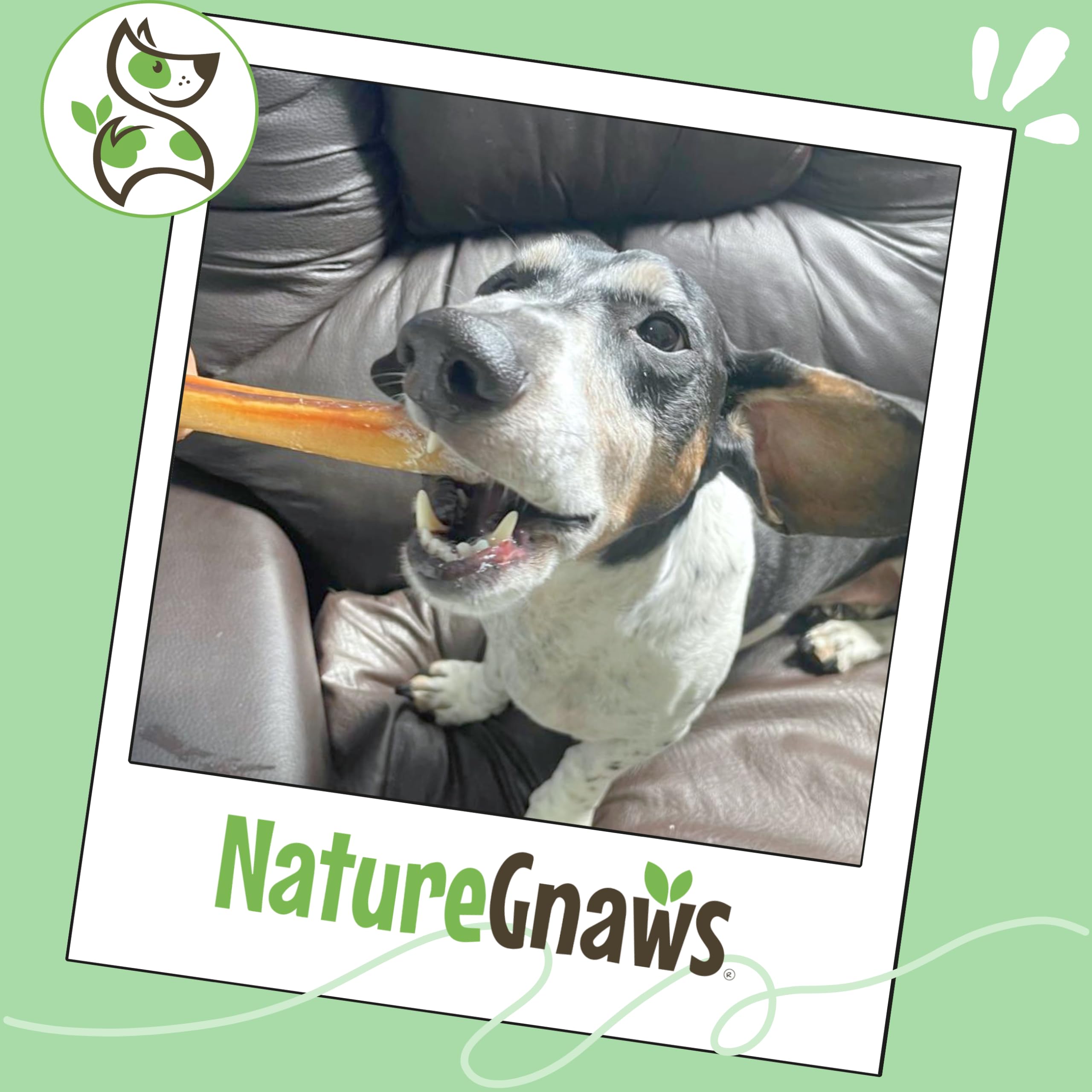 Nature Gnaws palitos de res delgados para perros: sabores de res sabrosos.