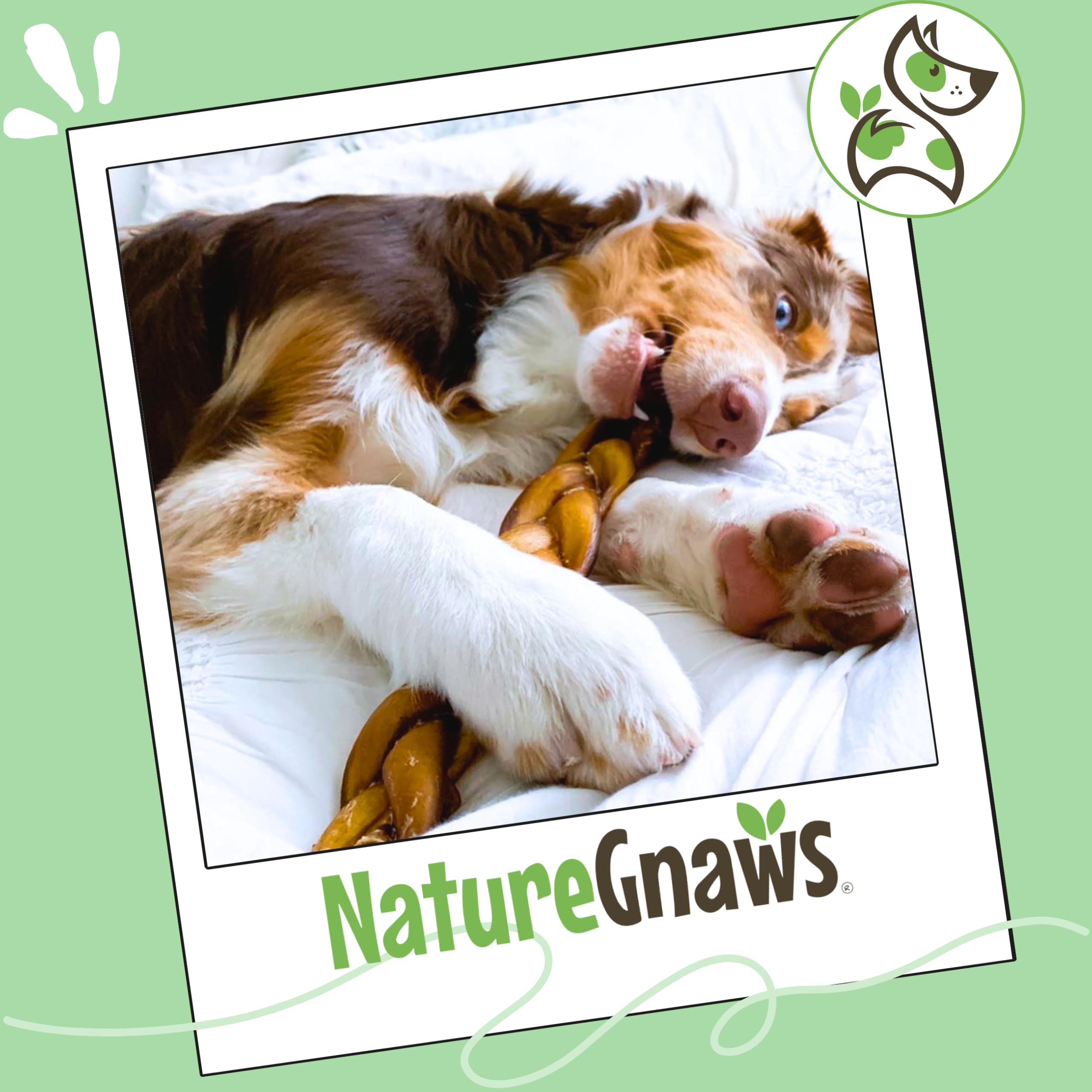 Nature Gnaws palitos trenzados, aptos para cachorros en dentición y perros grandes